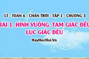 Hình vuông, Tam giác đều, Lục giác đều: Khái niệm, tính chất và cách vẽ? Toán 6 chân trời Tập 1 chương 3 Bài 1